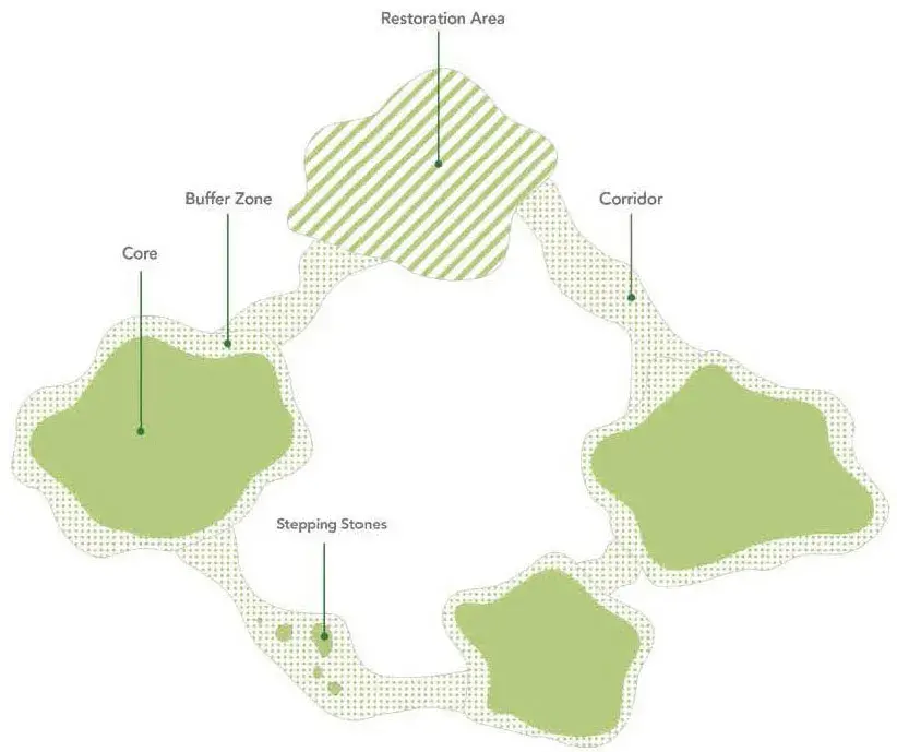 Esquema conceptual de la Infraestructura Verde: es una conexión de nodos y corredores ecológicos entre nodos