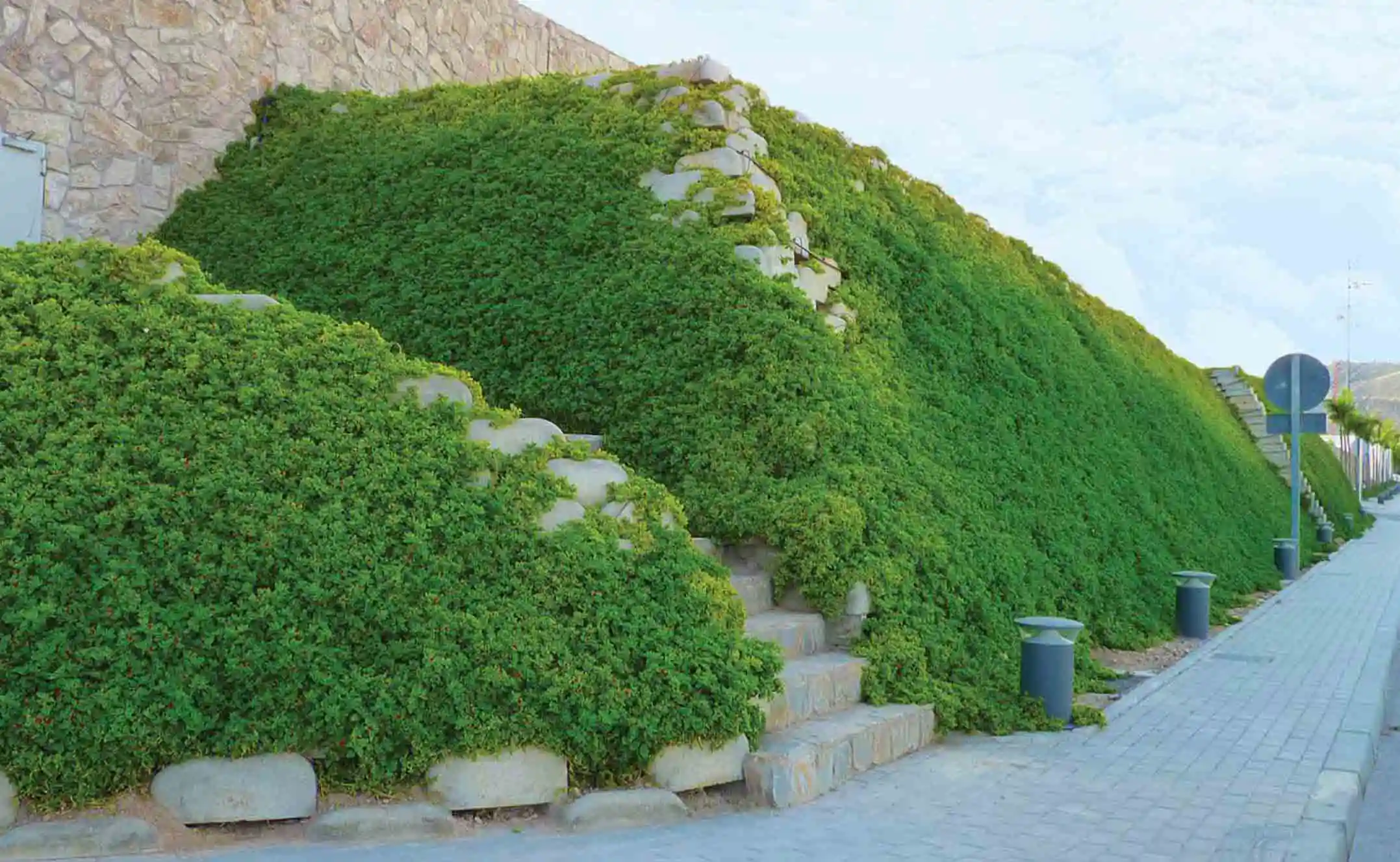 Muro vegetalizado construido sobre una base de piezas de muro Alpenstein de Montalbán y Rodríguez en Alhama de Murcia